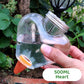 Mushroom Shaped Automatic Waterer