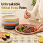 Unbreakable Wheat Straw Dinner Plates